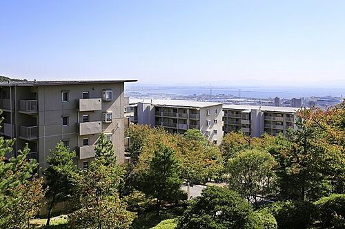 兵庫県神戸市東灘区鴨子ケ原２丁目 賃貸マンション