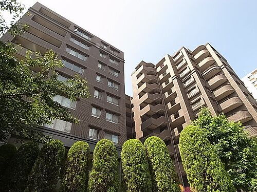 コアマンション桜坂プレジオヒルズ 11階建