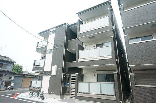 Ｆ　ａｓｅｃｉａ　Ｔａｏｓ　エフアセシ　タオース