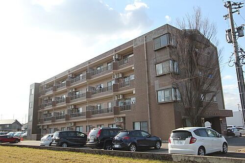 富山県富山市堀川町 4階建 築30年1ヶ月