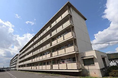 広島県福山市能島３丁目 5階建 築45年5ヶ月