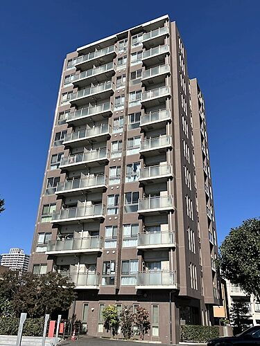 ビュー雷神ＩＩＩ 11階建