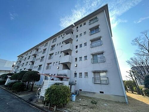 大阪府堺市北区東浅香山町３丁 賃貸マンション