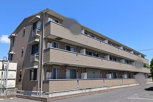 ソルティネーゼ　カシマ