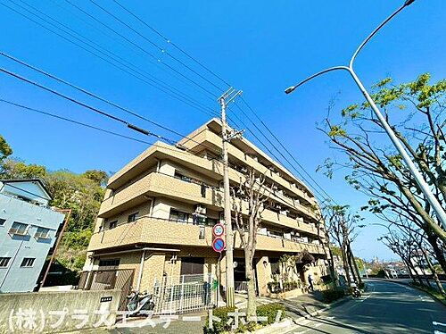 兵庫県神戸市長田区長者町 5階建 築31年5ヶ月