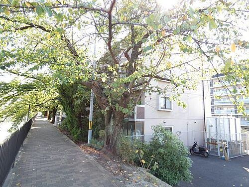 京都府京都市伏見区深草キトロ町 賃貸マンション