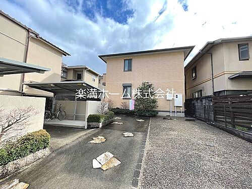 ミュルサンヌ桜