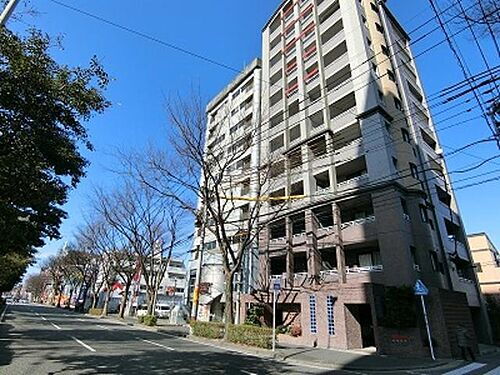 カーサアリエッタ大橋