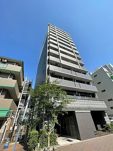 愛知県名古屋市中区大須４丁目 13階建 築7年9ヶ月