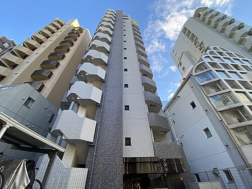 東京都新宿区住吉町 14階建