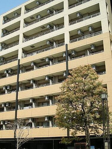 東京都墨田区亀沢１丁目 9階建 築19年10ヶ月