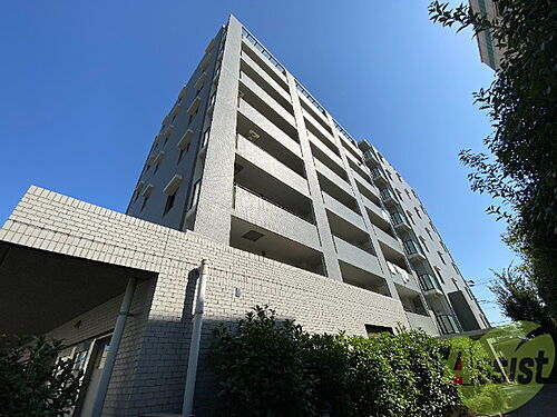 兵庫県神戸市灘区岩屋北町３丁目 賃貸マンション