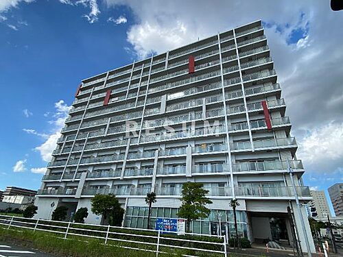 千葉県千葉市中央区中央港１丁目 12階建 築17年4ヶ月