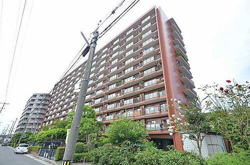 広島県広島市西区己斐本町３丁目 12階建 築39年9ヶ月