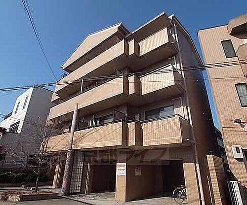 グレイシィ桂