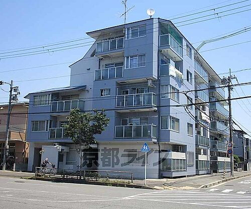京都府京都市西京区下津林東大般若町 築41年4ヶ月 5階建