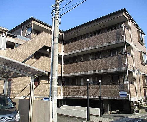 京都府京都市西京区桂芝ノ下町 賃貸マンション