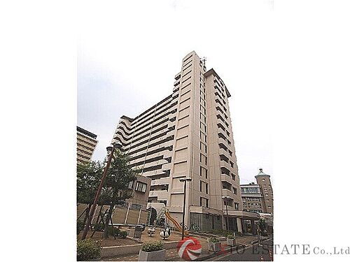 パルハセトン十三