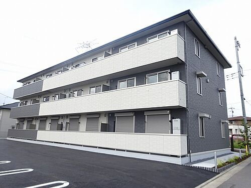 ＳＯＬＡＲＩＥ　ＭＩＤＯＲＩＮＯ　ＩＶ