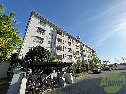 兵庫県神戸市須磨区北落合１丁目 賃貸マンション