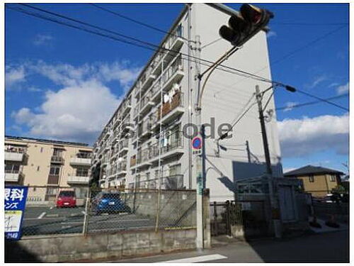 大阪府高槻市津之江町３丁目 5階建 築50年11ヶ月