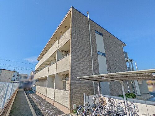 ブッシュ　クローバー　ＶＩＩ