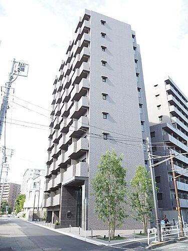 神奈川県川崎市幸区都町 11階建 築8年10ヶ月