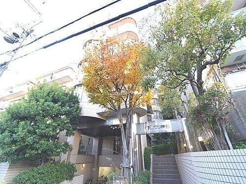 兵庫県神戸市東灘区鴨子ケ原１丁目 築36年3ヶ月 5階建