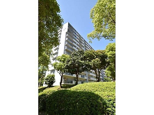 大阪府堺市南区新檜尾台２丁 賃貸マンション