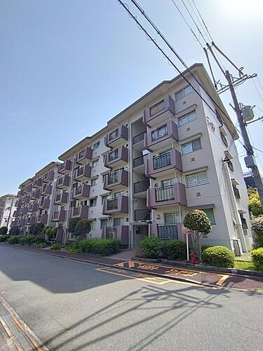 大阪府堺市南区鴨谷台３丁 賃貸マンション