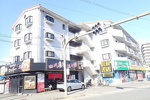 ＪＯＬＩＥセネシオ