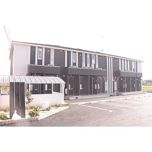 コモド　ピノＶ