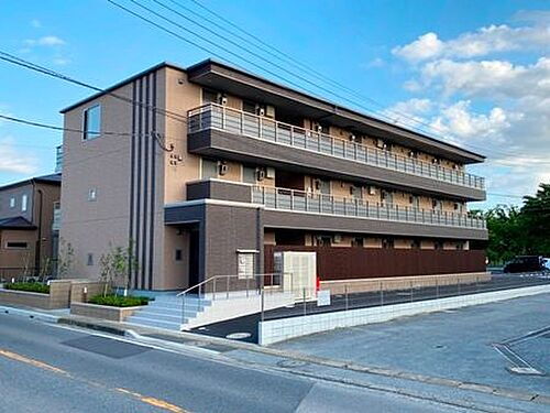 Ｃｅｄａｒ　Ｗｏｏｄ（シダーウッド）