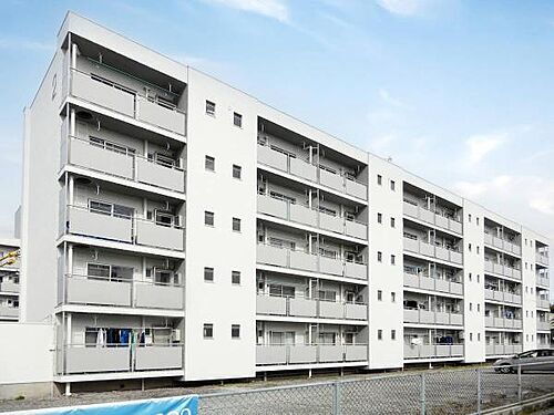 鳥取県境港市誠道町 賃貸マンション
