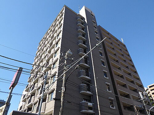 東京都葛飾区亀有５丁目 12階建