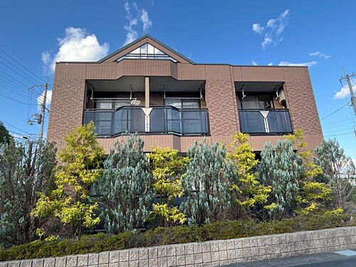 Ｐａｕｌｏｗｎｉａ（パウロウニア）