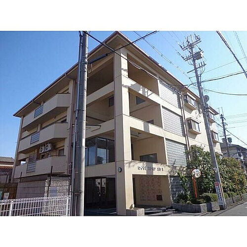 大阪府泉大津市東雲町 賃貸マンション