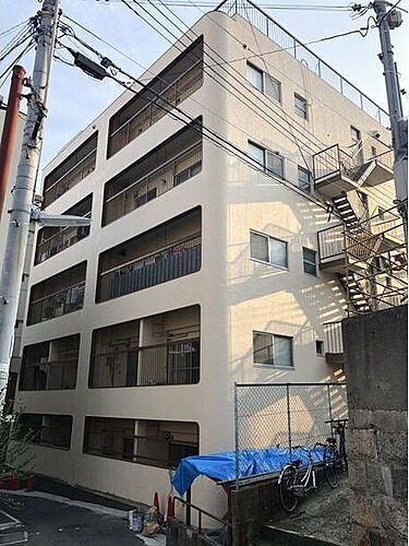 グリーンマンション