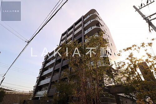 幸ｃｏｕｒｔ　　ｔｓｕｋａｍｏｔｏ