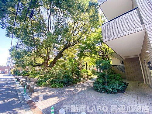 大阪府大阪市平野区加美鞍作１丁目 賃貸マンション