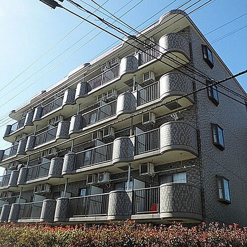 千葉県柏市明原１丁目 賃貸マンション