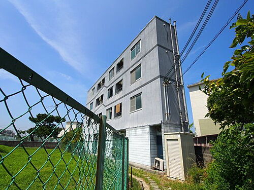 大阪府堺市東区白鷺町１丁 賃貸マンション