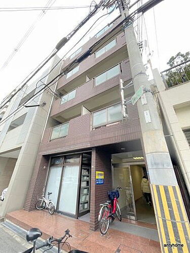 ハイツキンリュウ