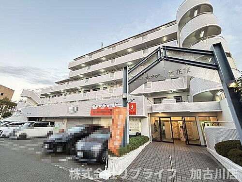 兵庫県加古川市加古川町北在家 賃貸マンション