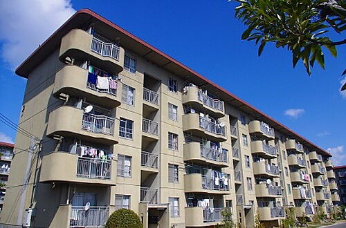 大阪府泉大津市虫取町２丁目 賃貸マンション