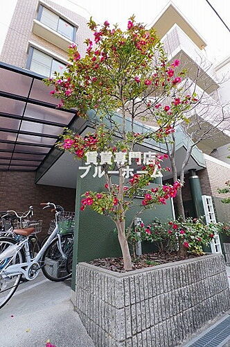 大阪府大阪市住吉区万代東２丁目 4階建 築29年1ヶ月