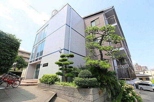 ハイムノーベル