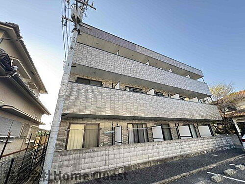 アンプルールフェールリアライフＩＩ