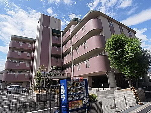 奈良県大和高田市田井新町 6階建 築36年11ヶ月