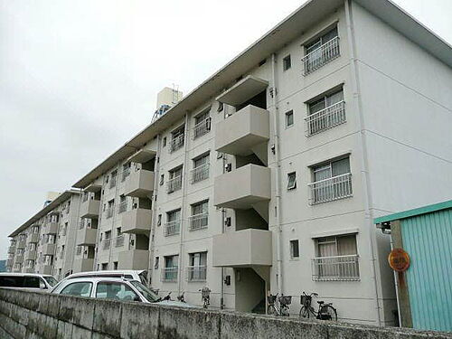 和歌山県和歌山市松島 賃貸マンション